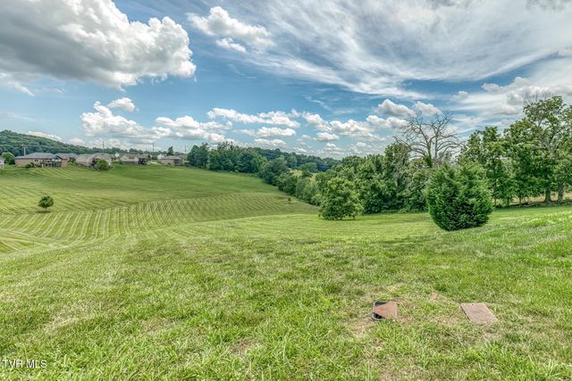 1300 Little Shadden Way, Johnson City, TN 37615