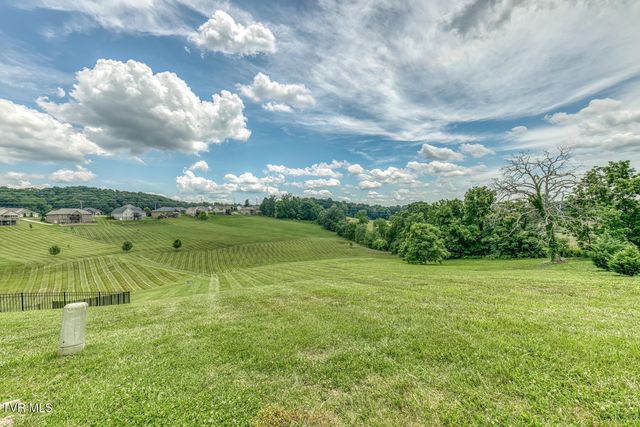 1300 Little Shadden Way, Johnson City, TN 37615
