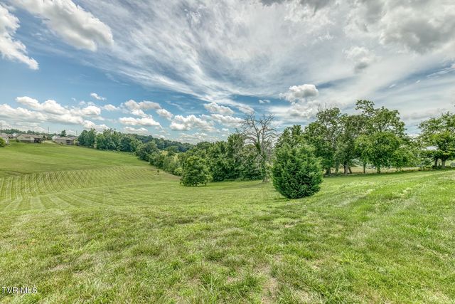 1300 Little Shadden Way, Johnson City, TN 37615
