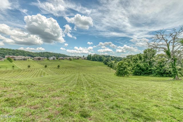 1300 Little Shadden Way, Johnson City, TN 37615