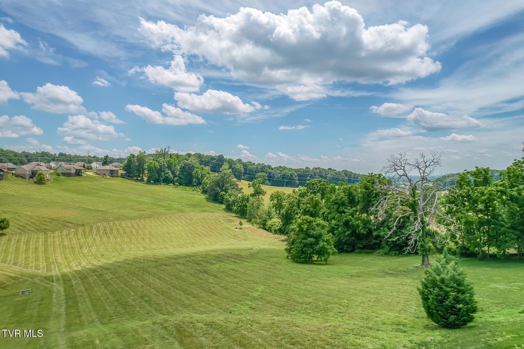 1300 Little Shadden Way, Johnson City, TN 37615