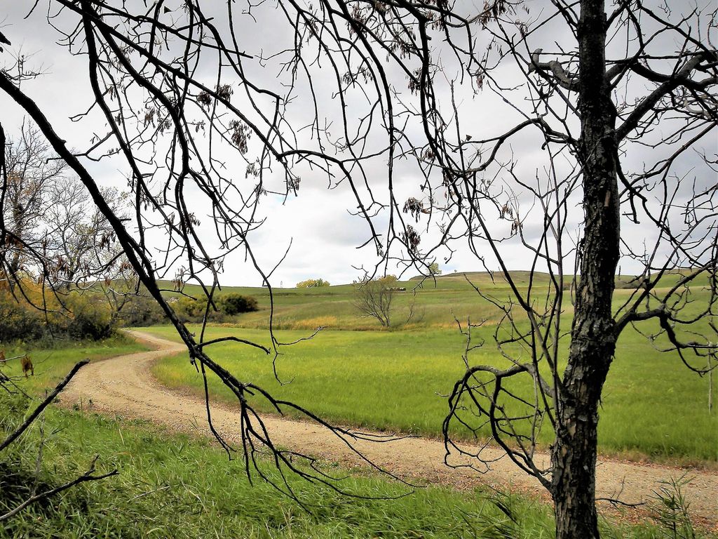 14140 Paniolo Way, Bismarck, ND 58503 photo 10