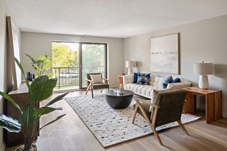 43 Pomeworth Street 44, Stoneham, MA 02180