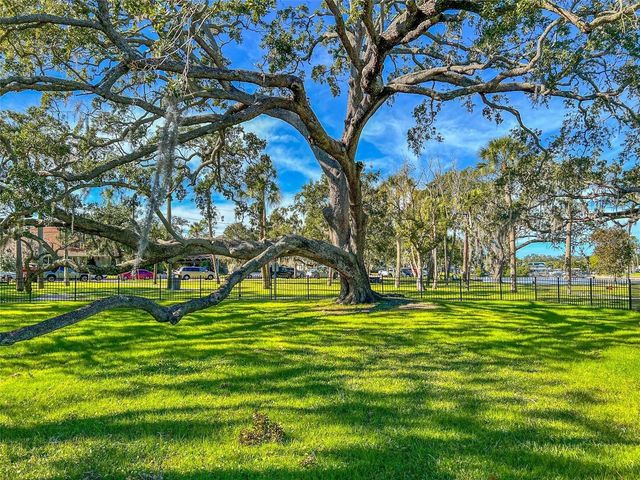 445 BAYOU VILLAGE DRIVE, Tarpon Springs, FL 34689
