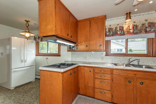 7003 Parmelee Drive, Mentor, OH 44060