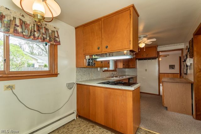 7003 Parmelee Drive, Mentor, OH 44060