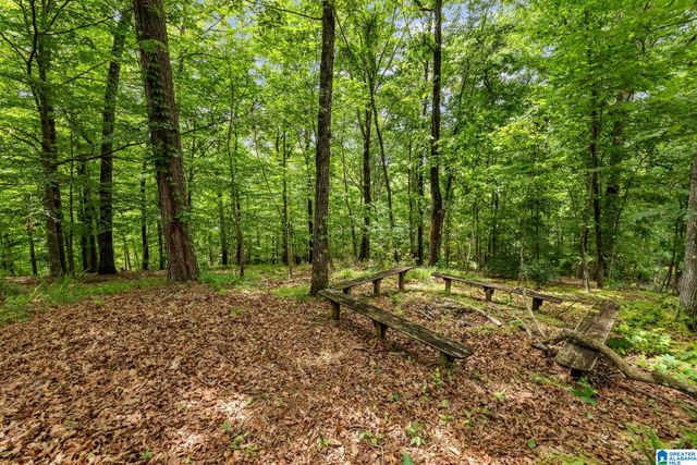 504 HILLOCK TRACE, Hoover, AL 35244