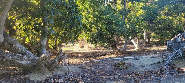 16 Camaron, Temecula, CA 92590