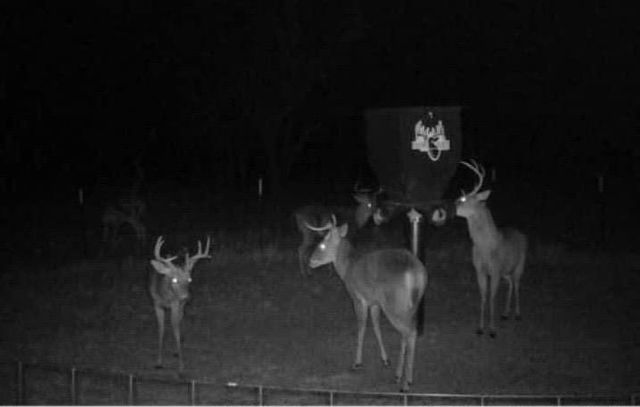 26975 N County Road 3170, Elmore City, OK 73433