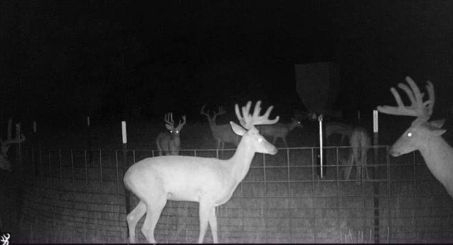 26975 N County Road 3170, Elmore City, OK 73433