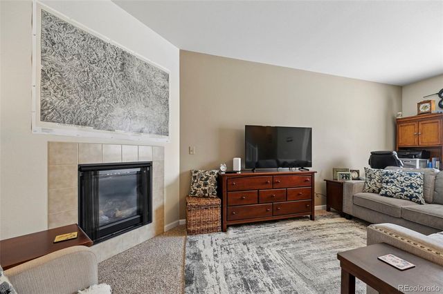 917 Burning Bush Point, Monument, CO 80132