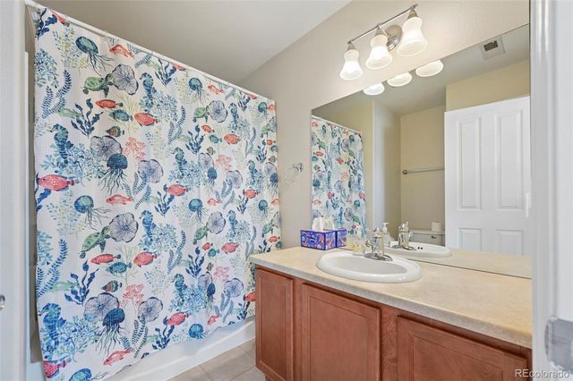 917 Burning Bush Point, Monument, CO 80132