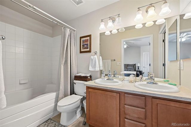 917 Burning Bush Point, Monument, CO 80132