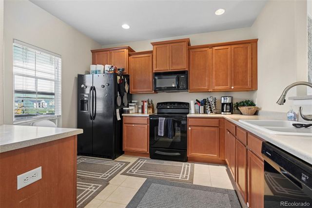 917 Burning Bush Point, Monument, CO 80132