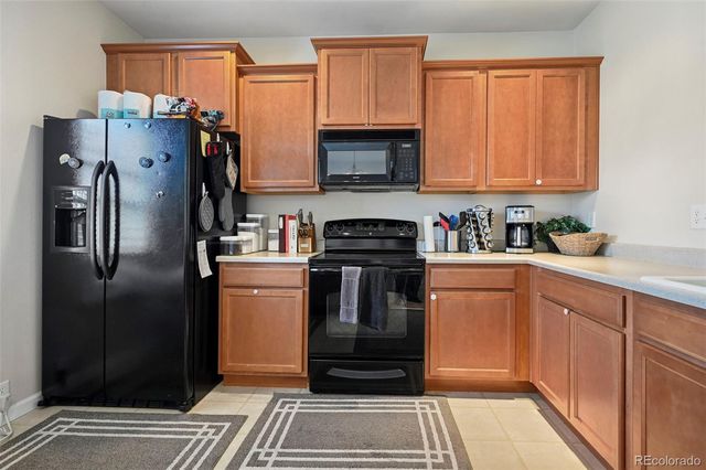 917 Burning Bush Point, Monument, CO 80132