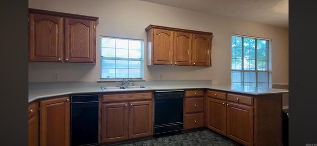 1045 Spatz, Conway, AR 72034