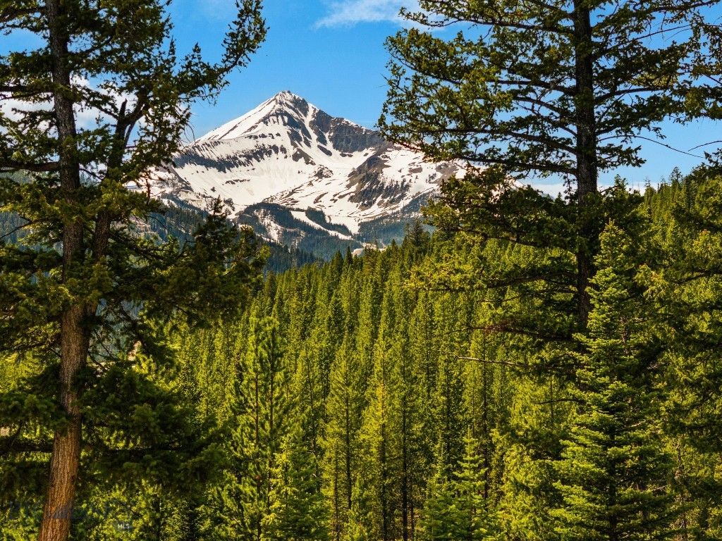NHN First Left Drive, Big Sky, MT 59716 photo 33