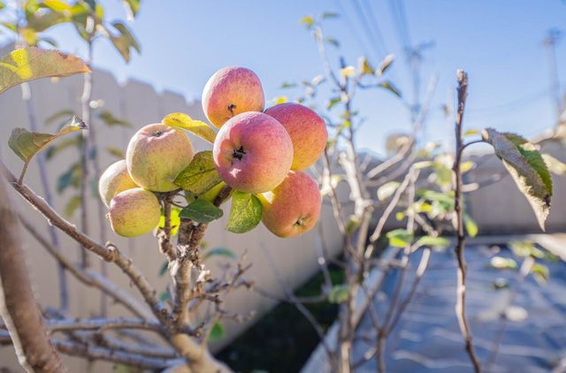 520 La Mesa Drive, Salinas, CA 93901