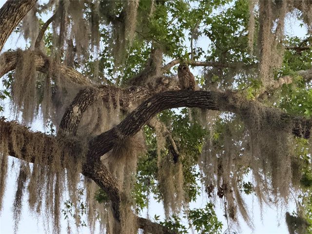 2635 WOOD DUCK VILLAGE, Deland, FL 32720