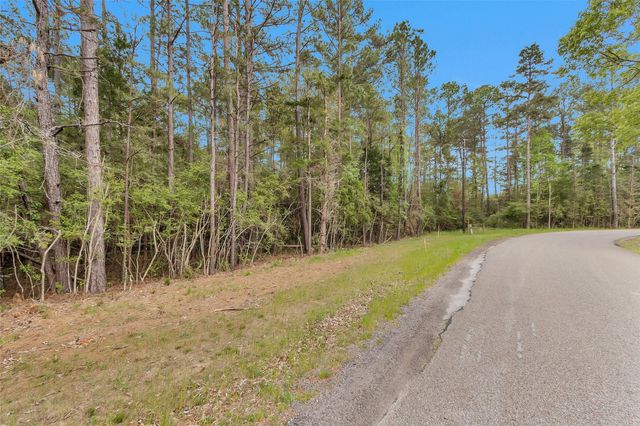 TBD TR3 Cedar Lane Loop, Willis, TX 77378