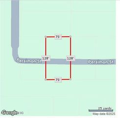 Persimmon Avenue, Ocean Springs, MS 39564