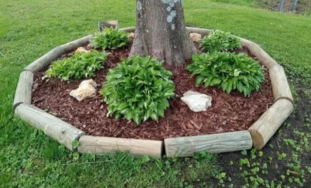 1376 Ardmore Hwy, Taft, TN 38488