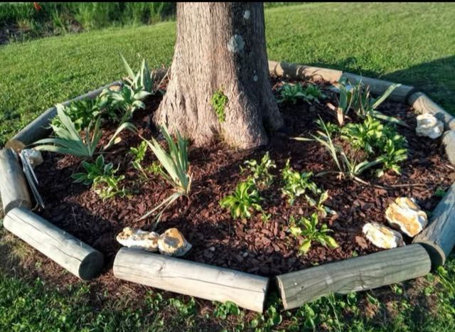 1376 Ardmore Hwy, Taft, TN 38488