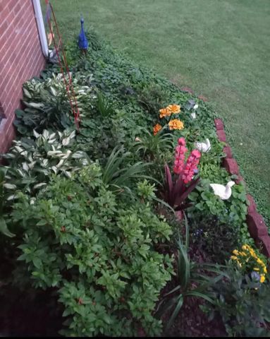 1376 Ardmore Hwy, Taft, TN 38488