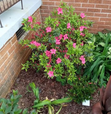 1376 Ardmore Hwy, Taft, TN 38488