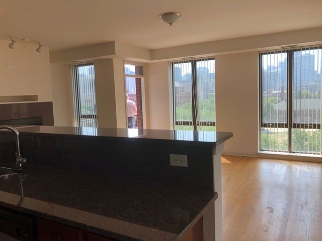 343 W Old Town Court 509, Chicago, IL 60610