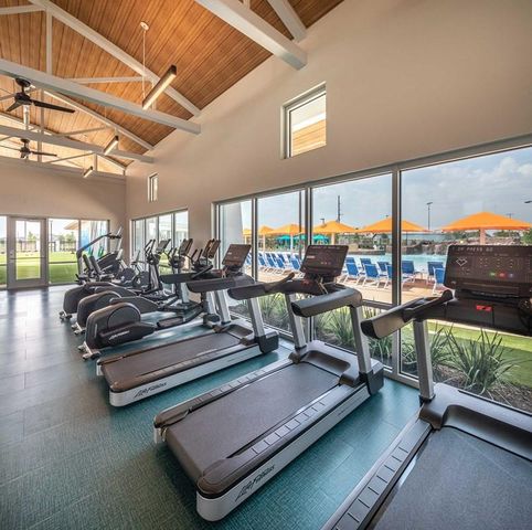 6127 Renoir Lane, Manvel, TX 77578