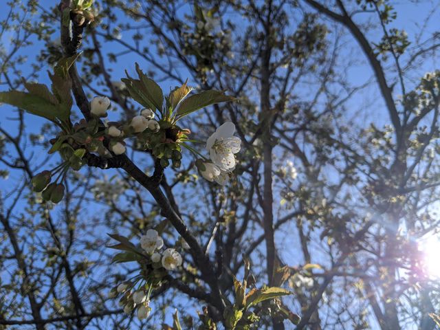 1186 Hampden Road, Roosevelt Park City, MI 49441