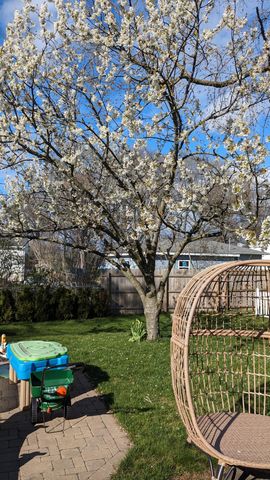 1186 Hampden Road, Roosevelt Park City, MI 49441