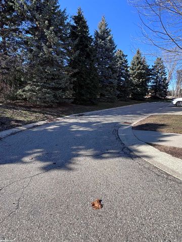 13641 Silver Birch Circle, Shelby Twp, MI 48315