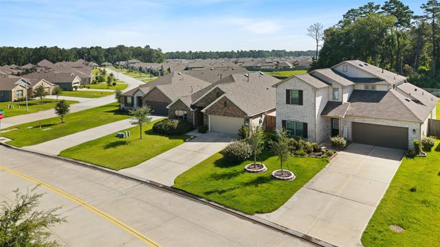 17707 Sapphire Pines Drive, New Caney, TX 77357