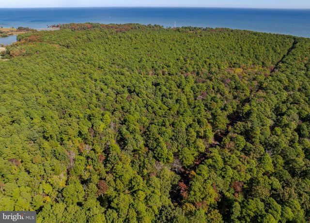 50645 HOLLY POINT RD, Dameron, MD 20628