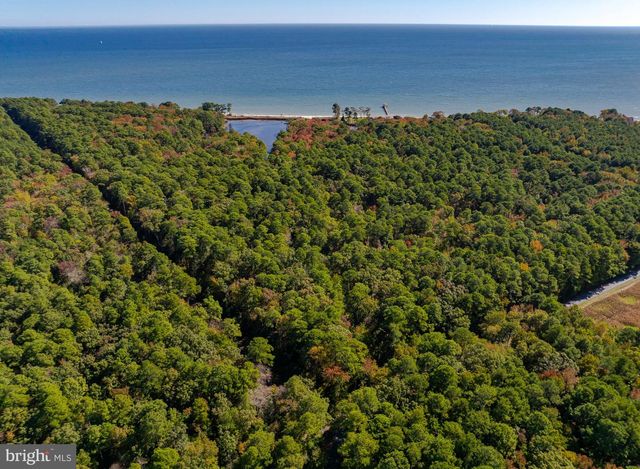 50645 HOLLY POINT RD, Dameron, MD 20628