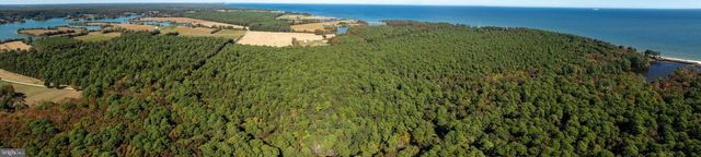 50645 HOLLY POINT RD, Dameron, MD 20628