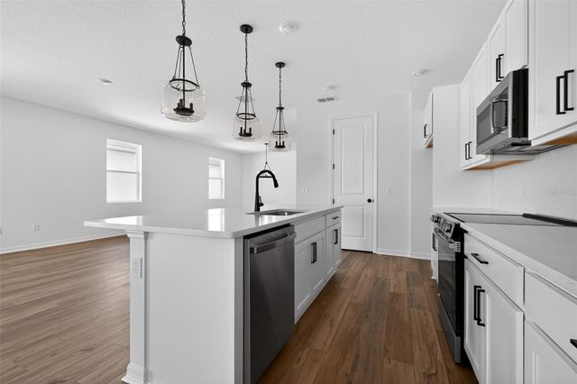 30130 EMERALD FOREST DRIVE, Mount Dora, FL 32757