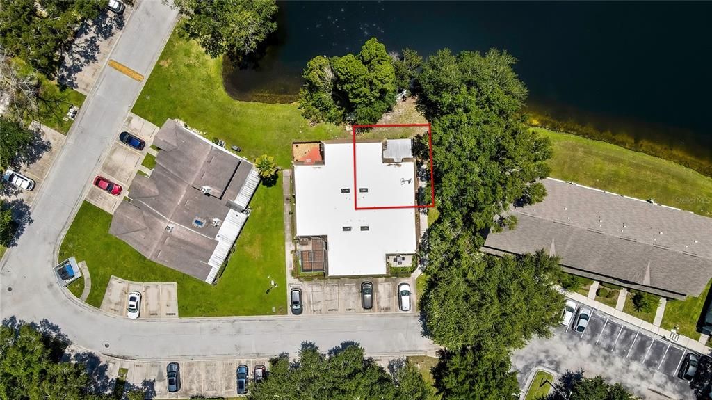 12714 TALL PINE DRIVE, Tampa, FL 33625