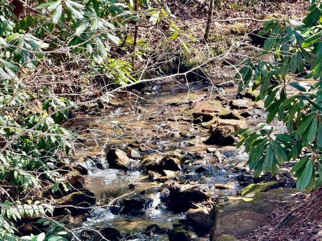 Lot 5 Wild Laurel, Brasstown, NC 28902