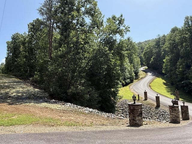 Lot 5 Wild Laurel, Brasstown, NC 28902