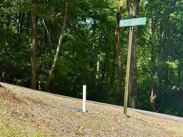 Lot 5 Wild Laurel, Brasstown, NC 28902