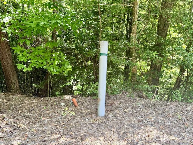 Lot 5 Wild Laurel, Brasstown, NC 28902