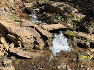 Lot 5 Wild Laurel, Brasstown, NC 28902