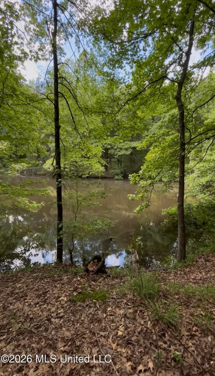 5235 Highway 51, Hernando, MS 38632 — exterior