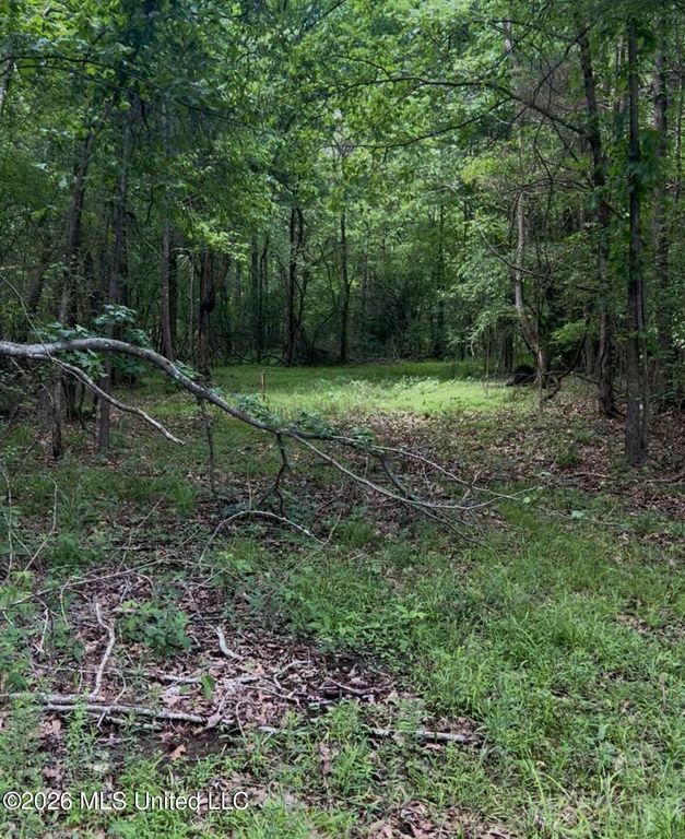 5235 Highway 51, Hernando, MS 38632 — photo 2