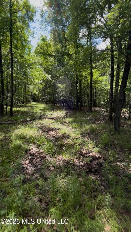 5235 Highway 51, Hernando, MS 38632 — photo 3
