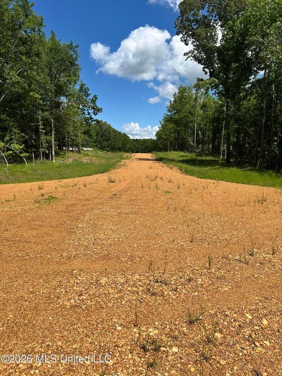 5235 Highway 51, Hernando, MS 38632 — photo 5