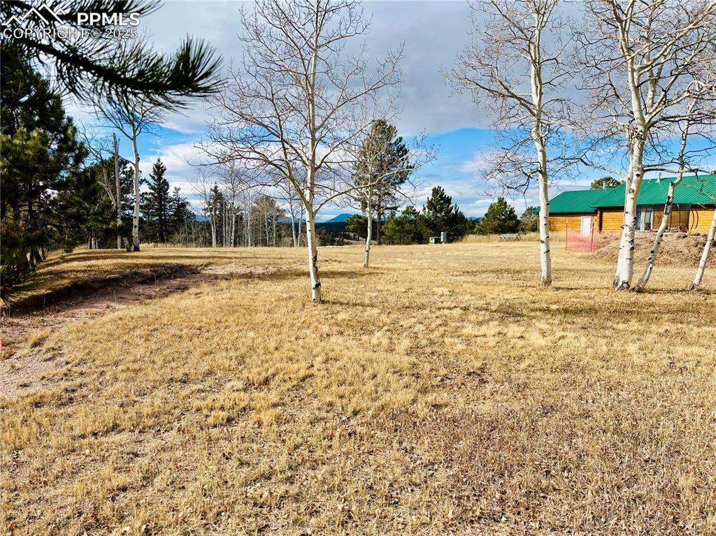 799 Elfin Glen Drive, Divide, CO 80814